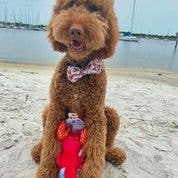 CLEAN EARTH//Recycled Plush Llama