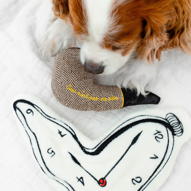 DALI//Surrealist Snuffles/ENRICHMENT DOG TOY