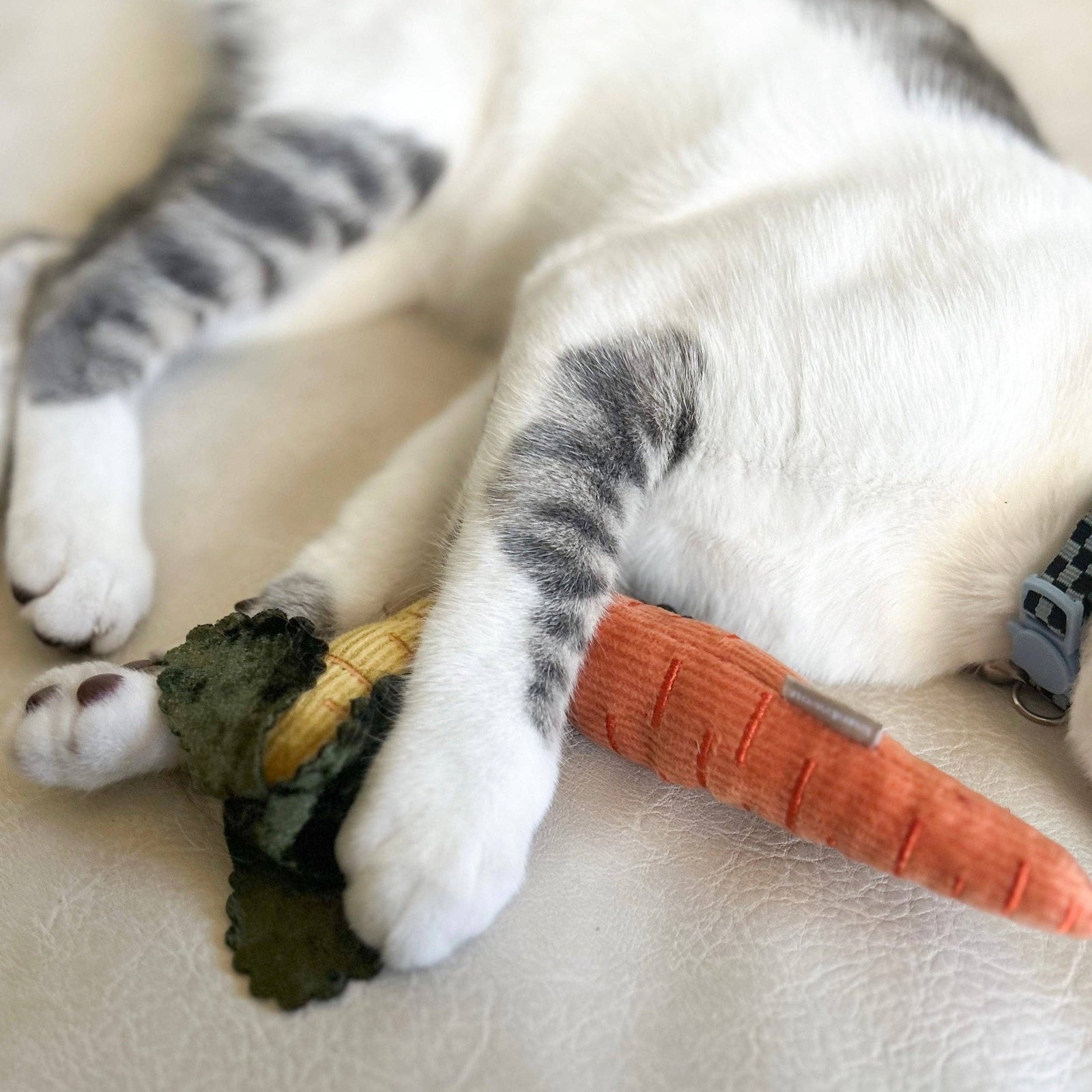 KITTY BABY CARROTS