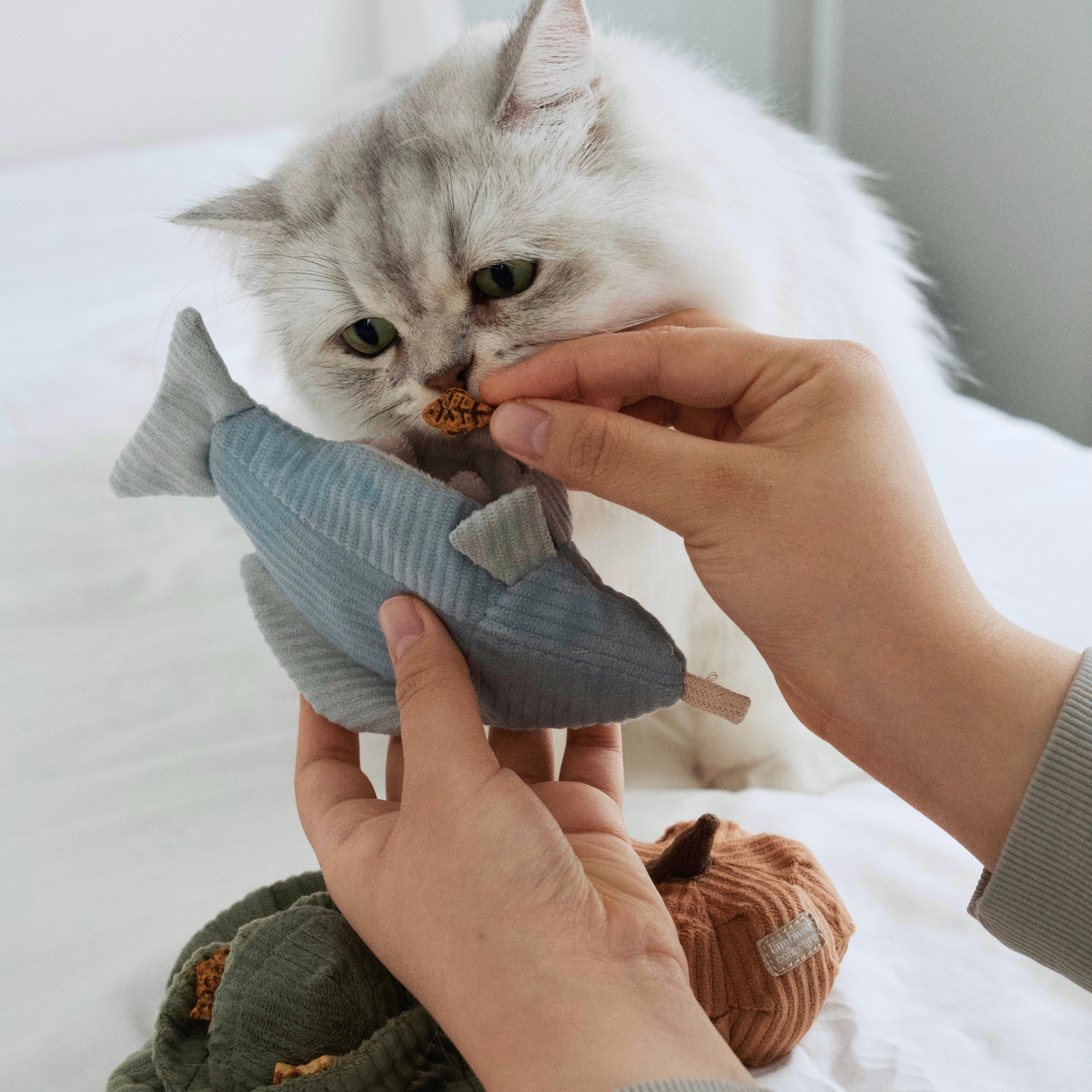 Kitty Trout Enrichment Toy