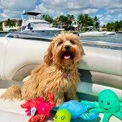 CLEAN EARTH//Recycled Plush Turtle