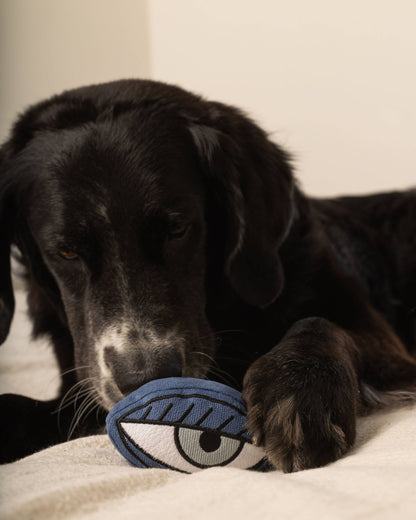 PICASSO//ENRICHMENT DOG TOY