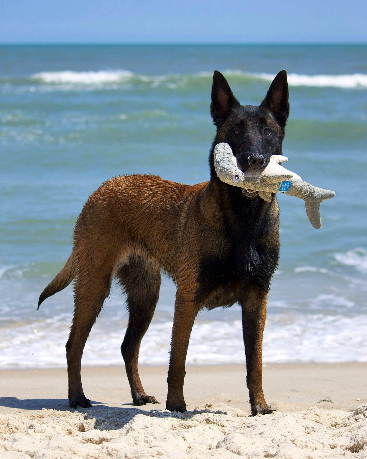 CLEAN EARTH//Recycled Plush Caribou