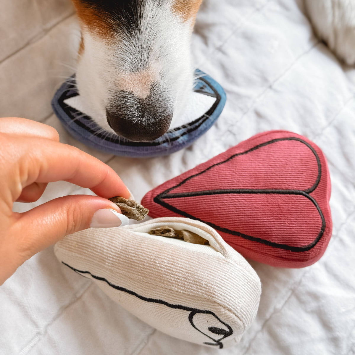 PICASSO//ENRICHMENT DOG TOY