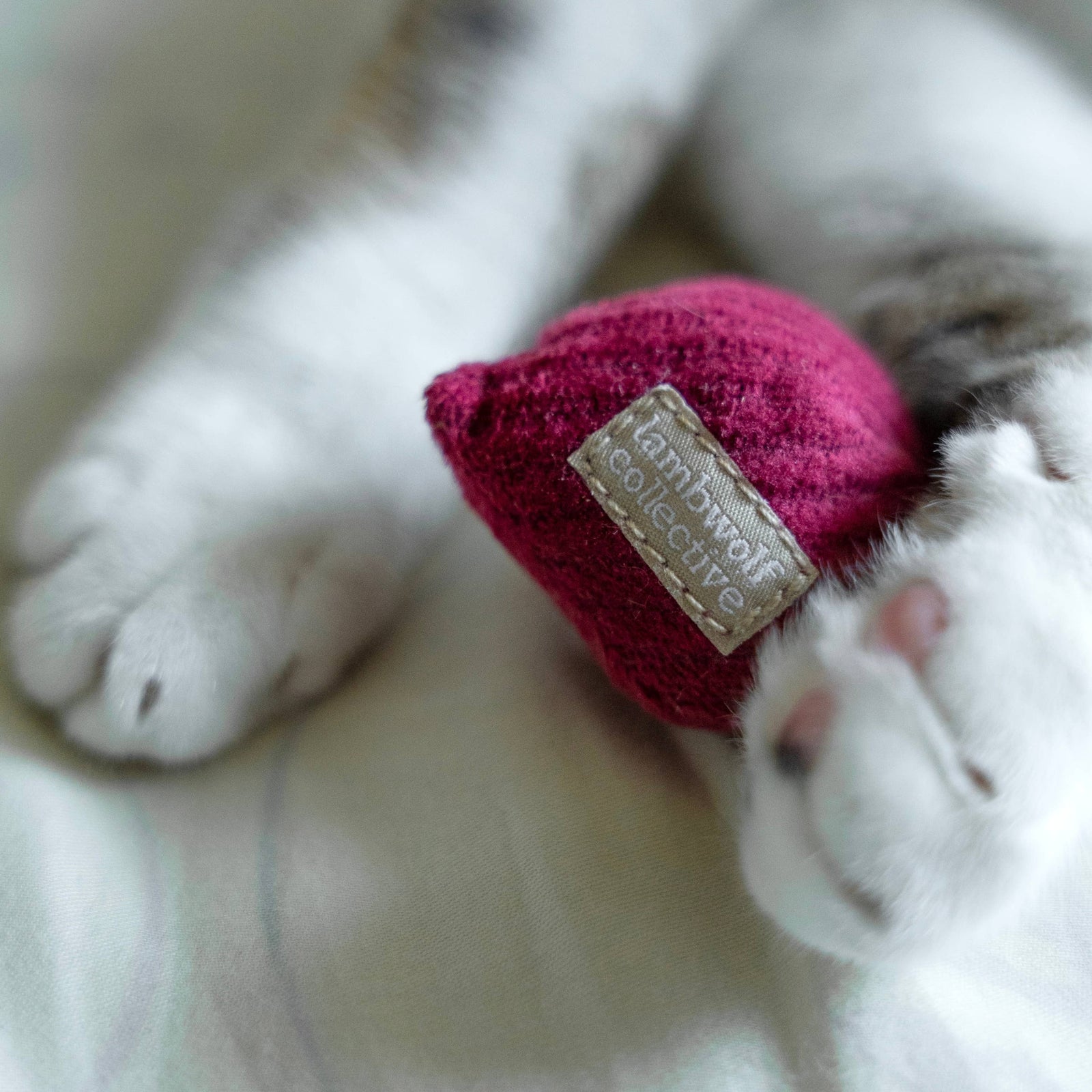 Kitty Radish Catnip Toy - XS Beet