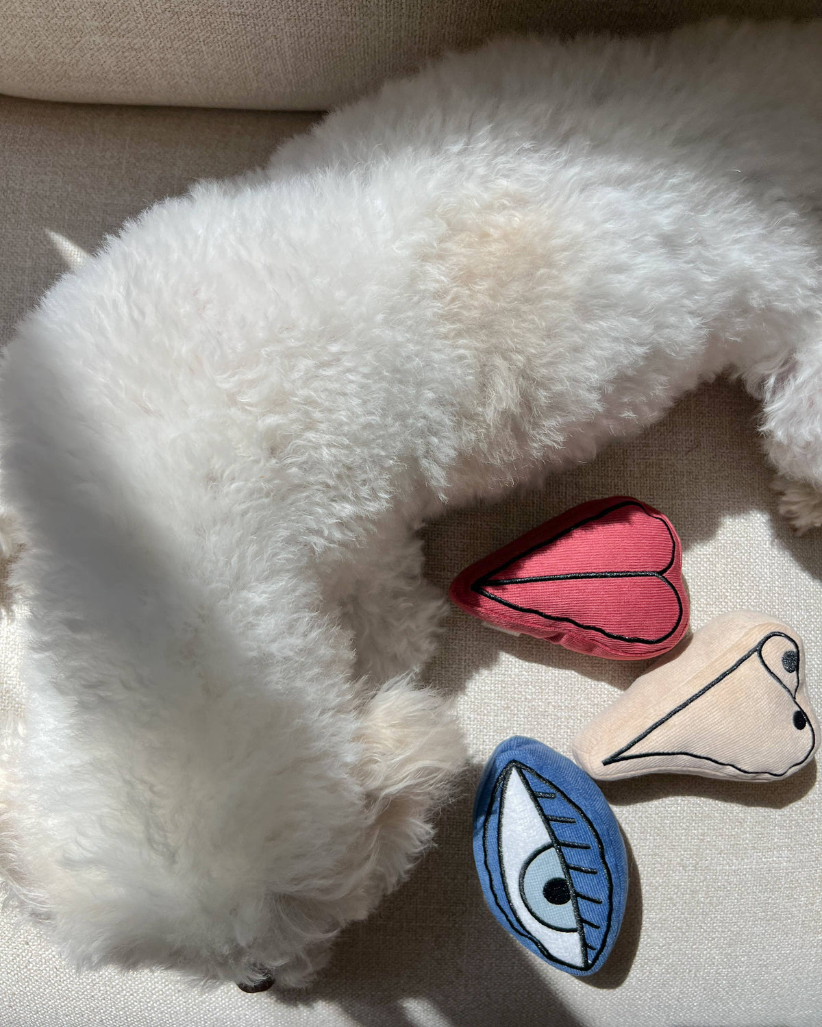PICASSO//ENRICHMENT DOG TOY