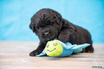 CLEAN EARTH//Recycled Plush Caribou