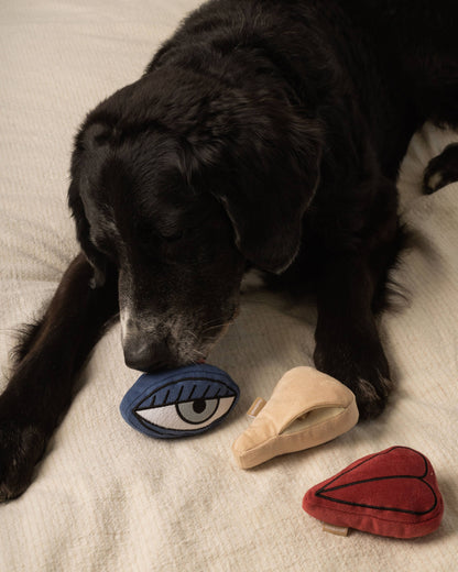 PICASSO//ENRICHMENT DOG TOY