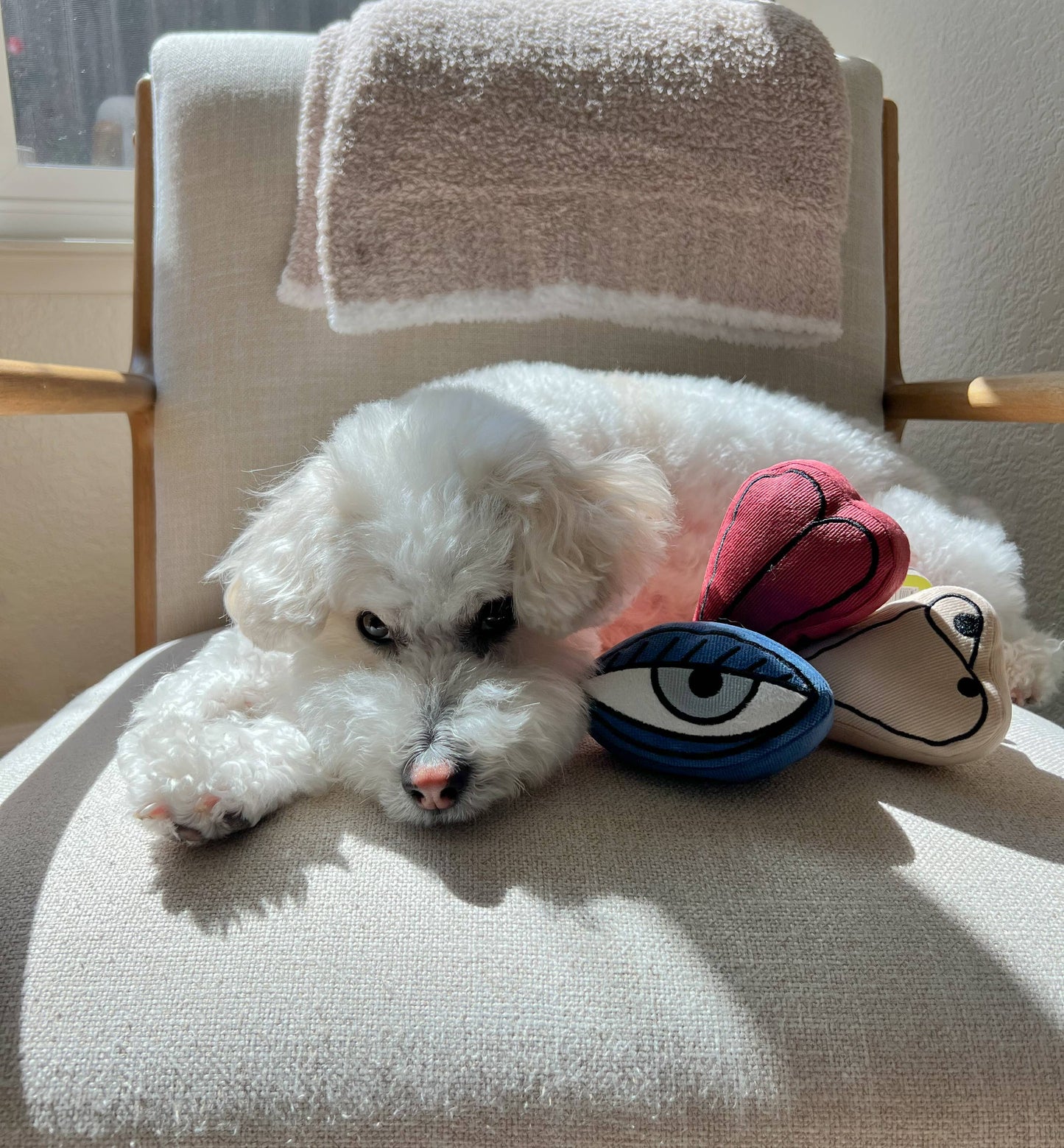 PICASSO//ENRICHMENT DOG TOY