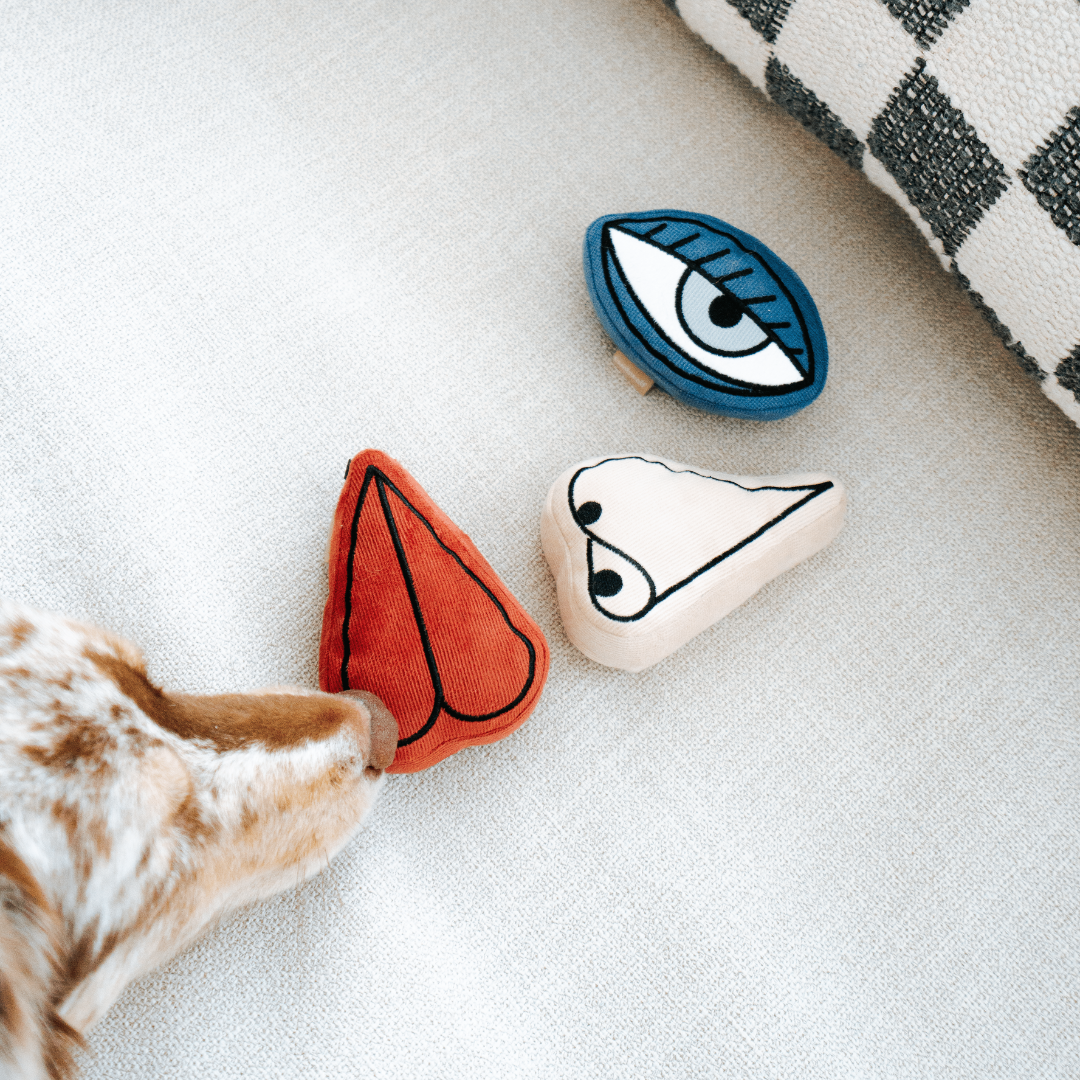 PICASSO//ENRICHMENT DOG TOY