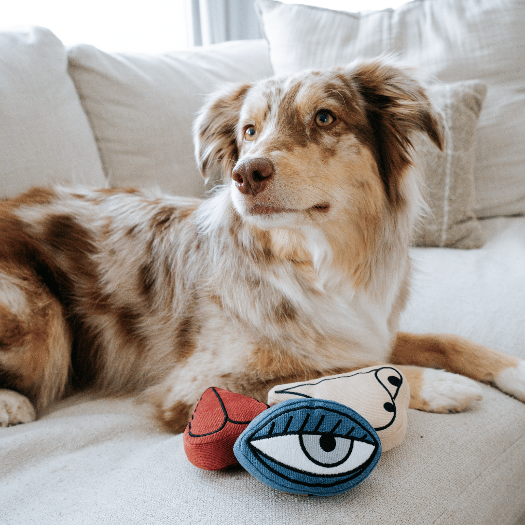 PICASSO//ENRICHMENT DOG TOY