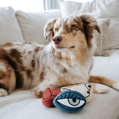 PICASSO//ENRICHMENT DOG TOY