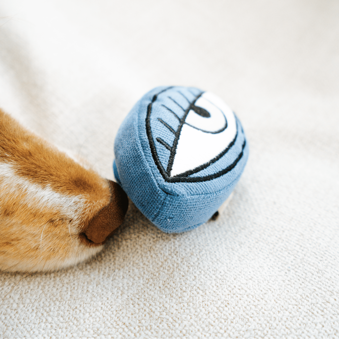 PICASSO//ENRICHMENT DOG TOY