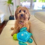 CLEAN EARTH//Recycled Plush Octopus